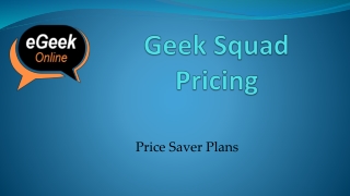 Geek Squad Pricing