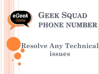 Geek Squad Phone Number