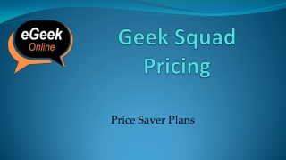 Geek Squad Pricing