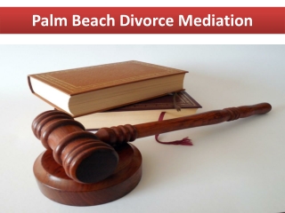 Palm Beach Divorce Mediation