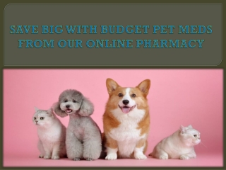 SAVE BIG WITH BUDGET PET MEDS FROM OUR ONLINE PHARMACY