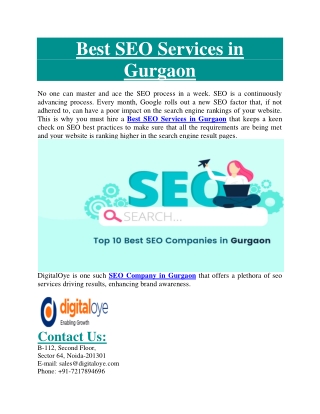 Best SEO Services in Gurgaon