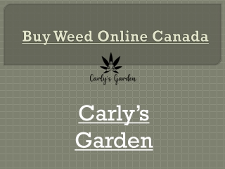 Buy Weed Online In Canada at Carly's Garden With Best Price.