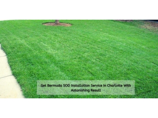 Get bermuda sod installation service in charlotte with astonishing result