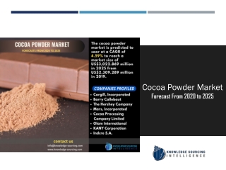 Segment Analysis on Cocoa Powder Market