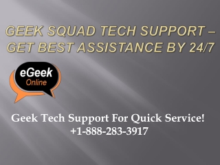 Geek Squad Tech Support