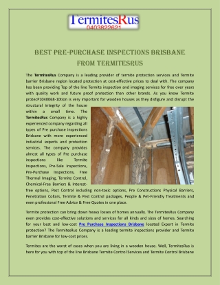 Best Pre-Purchase Inspections Brisbane from TermitesRus