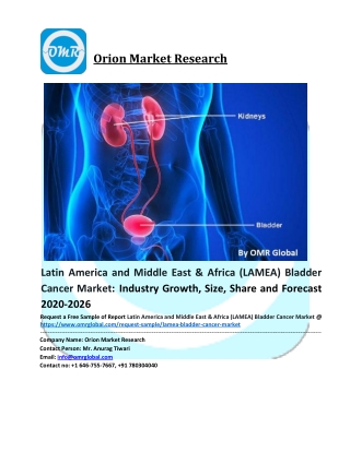 LAMEA Bladder Cancer Market: Global Industry Analysis, Size, Share, Growth, Trends and Forecast to 2026