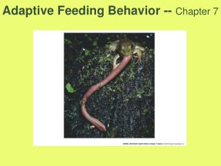 Adaptive Feeding Behavior -- Chapter 7