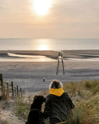 Aparthotel Zoutelande - Overnachten Domburg