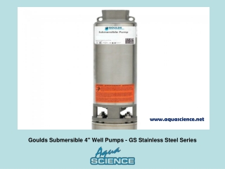 Goulds Submersible 4 Well Pumps- GS Stainless Steel Series