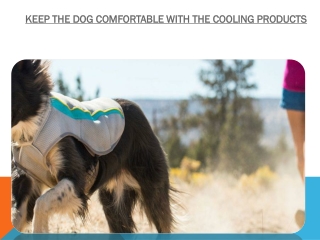 KEEP THE DOG COMFORTABLE WITH THE COOLING PRODUCTS