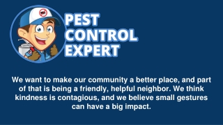 Pest Exterminator - Pest Control Expert