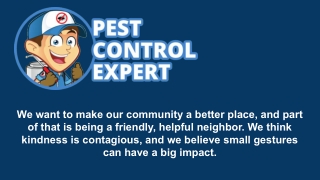 Pest Exterminator - Pest Control Expert