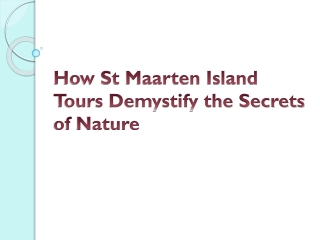 How St Maarten Island Tours Demystify the Secrets of Nature