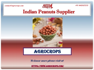 Top Indian Peanuts Supplier