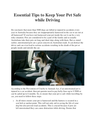 Essential Tips to Keep Your Pet Safe while Driving