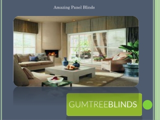 Amazing Panel Blinds