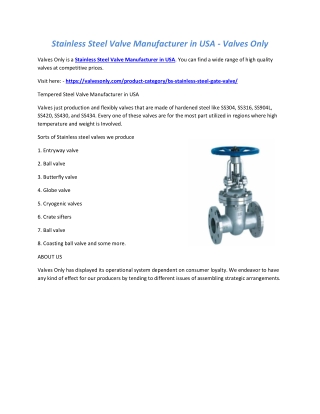 Stainless Steel Valve Manufacturer in USA - Valves Only