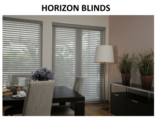 HORIZON BLINDS