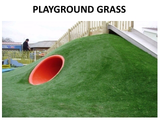 PLAYGROUND GRASS