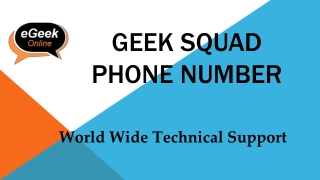 Geek Squad Phone Number