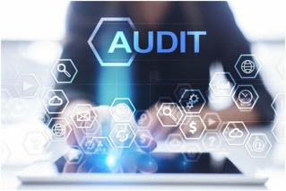 Internal Audits