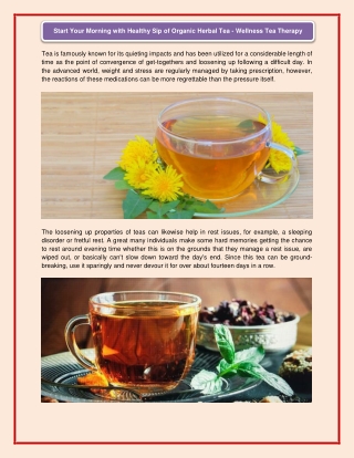 Start Your Morning with Healthy Sip of Organic Herbal Tea - Wellness Tea Therapy