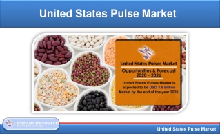 United States Pulse Market & Volume, By Segments, Production, Import, Export