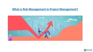 Process of Risk Management in Project Management.