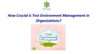 How Crucial is the Test Environment Management in Organizations?