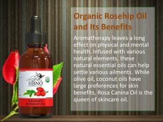 Organic Rosehip Oil and Its Benefits