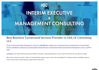 Get The Best Business Turaround Services - IE Consulting LLC