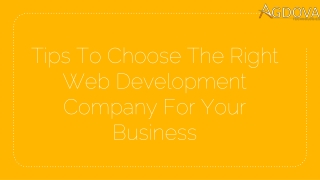 Tips to Choose the Right Web Development Company for Your Business