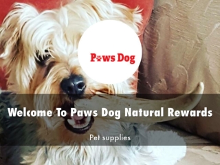 Detail Presentation About Paws Dog Natural Rewards