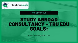 Study Abroad Consultancy – Tru Edu Goals: