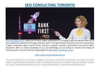 SEO CONSULTING TORONTO