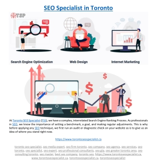 SEO Specialist in Toronto