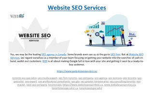 Website SEO Services