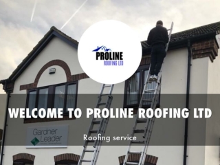 Detail Presentation About PROLINE ROOFING LTD