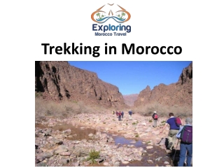 Trekking in Morocco