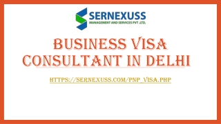Business visa consultant in Delhi