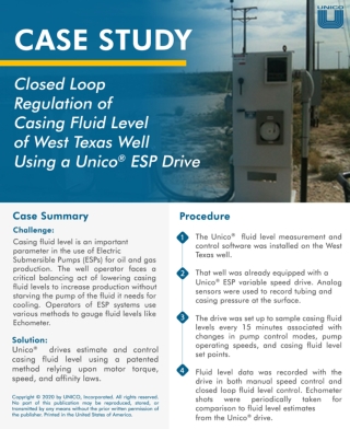 Unico LLC ESP Drive - Case Study