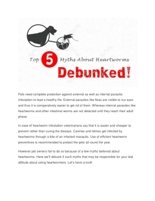Top 5 Myths About Heartworm!!