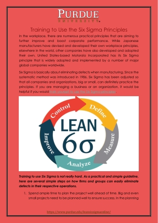 Brief Introduction to Lean Six Sigma and Its Principles
