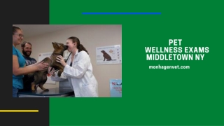 Pet Wellness Exams Middletown NY