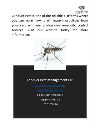 Mosquito Control Singapore | Conquer Pest