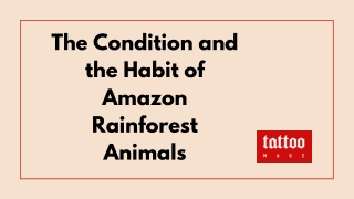 The Condition and the Habit of Amazon Rainforest Animals