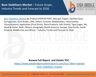 Beer Stabilizers Market – Future Scope , Industry Trends and Forecast to 2026