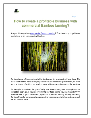 How to create a profitable business with commercial Bamboo farming?